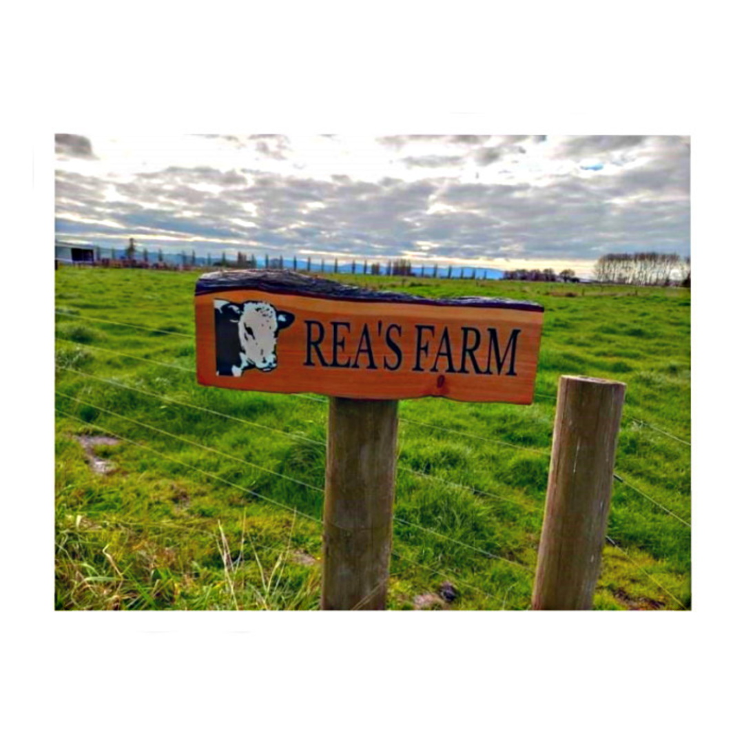 Macrocarpa 'Rea's Farm' Sign image 0